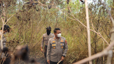 3 Pilar Ngawi Padamkan Kebakaran Di Gunung Lawu