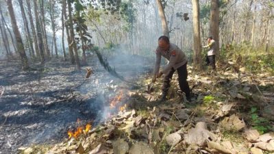 Petugas Gabungan Berhasil Padamkan Kebakaran Hutan Jati