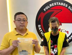 Satresnarkoba Polrestabes Surabaya Berhasil Amankan Tersangka Pengedar Narkoba