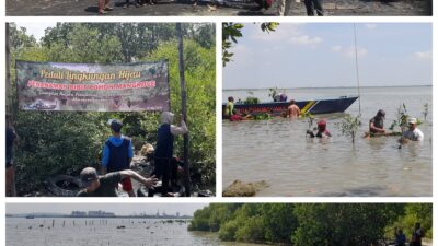 Puluhan Nelayan Kompak Tanam Ratusan Bibit Pohon Mangrove di Pesisir Pantai Kalianak