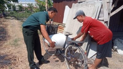 Wujudkan Ketahanan Pangan Nasional, Babinsa Pakal Bantu Petani Panen Padi di Wilayah