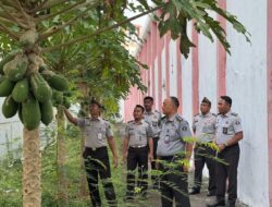 Dukung Ketahanan Pangan Nasional, Lapas Kelas IIA Pamekasan Kontrol ke Kebun Untuk Kesejahteraan Warga Binaan