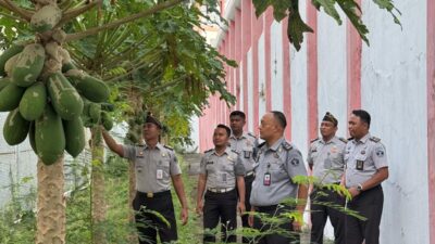 Dukung Ketahanan Pangan Nasional, Lapas Kelas IIA Pamekasan Kontrol ke Kebun Untuk Kesejahteraan Warga Binaan