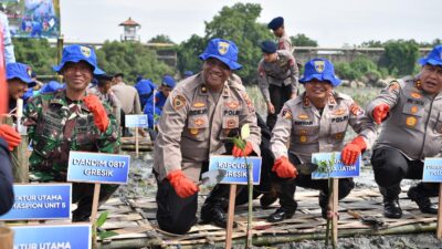 Foto : Lestarikan Lingkungan, Ditpolairud Polda Jatim Tanam Belasan Ribu Bibit Mangrove di Gresik