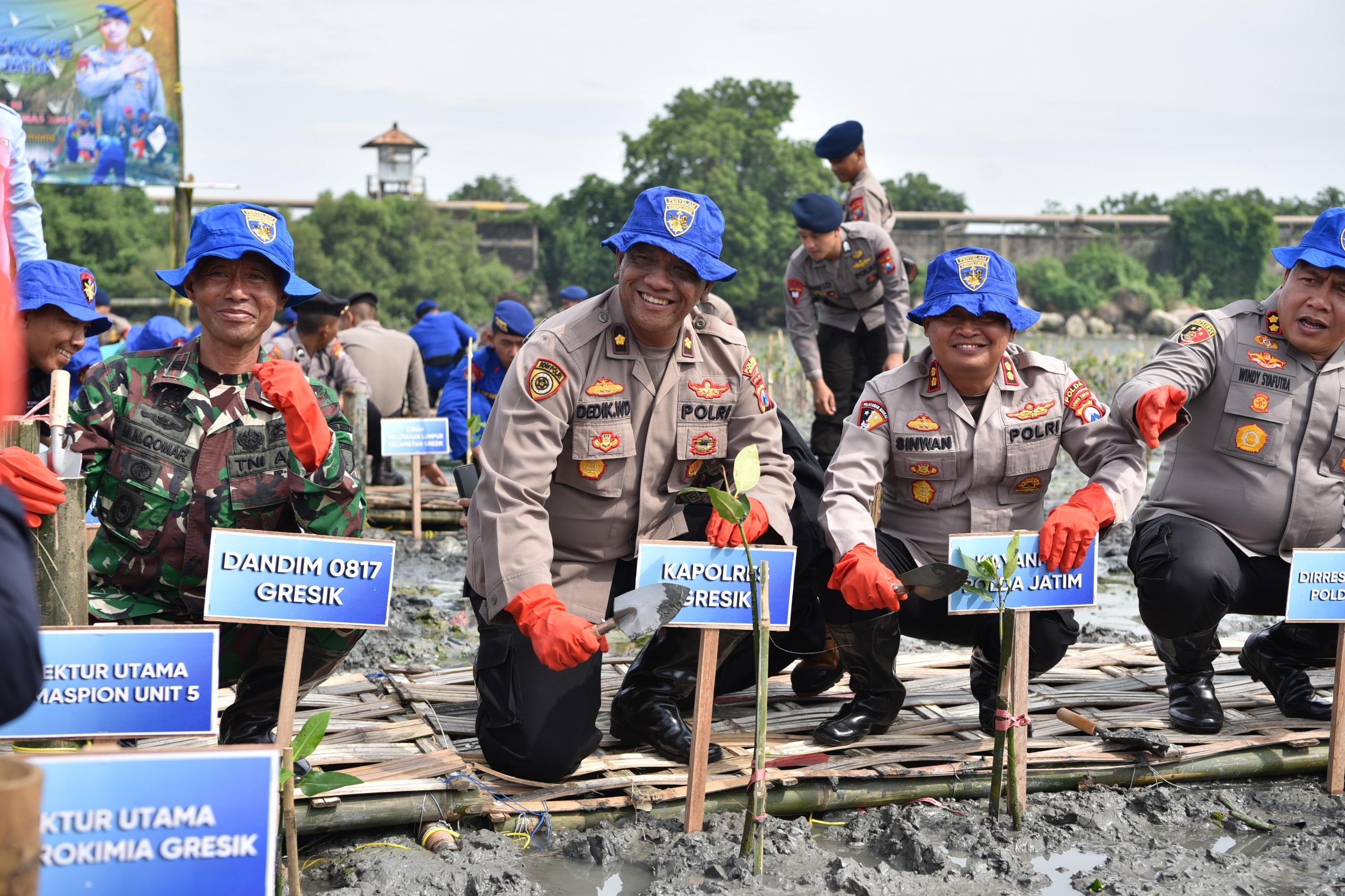 Foto : Lestarikan Lingkungan, Ditpolairud Polda Jatim Tanam Belasan Ribu Bibit Mangrove di Gresik