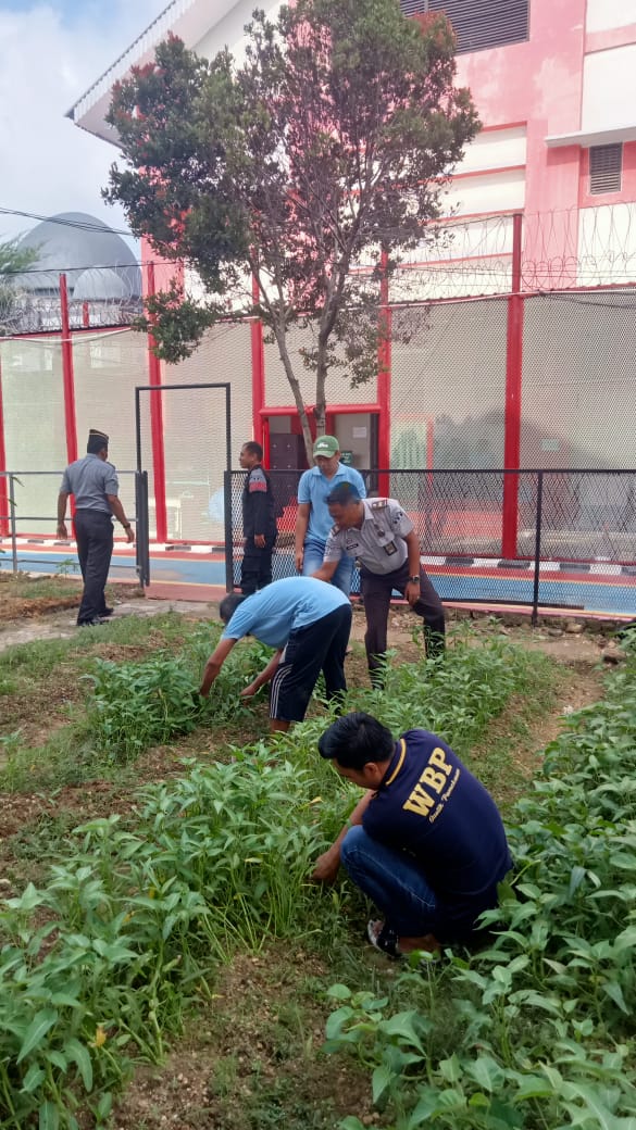 Foto : Bukan Sekadar Pembinaan, Lapas Narkotika Kelas IIA Pamekasan Jadi Pusat Produktivitas dengan Panen Kangkung