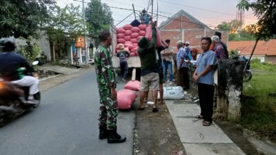 Babinsa Desa Mulung Dampingi Kegiatan Penyerapan Gabah oleh Kelompok Tani