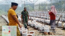 Babinsa Koramil 0829-15/Geger Laksanakan Pendampingan Program Ketahanan Pangan Terpadu di Wilayah Desa Binaan
